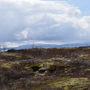 DSC_1073