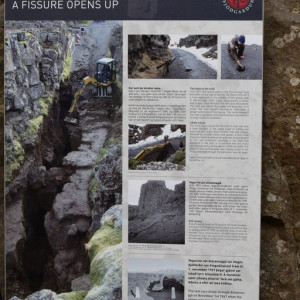 DSC_1087