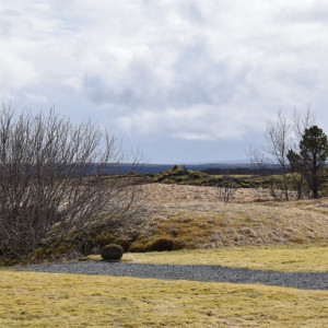 DSC_1151