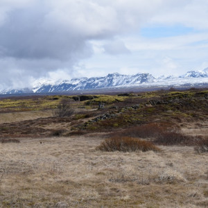 DSC_1180