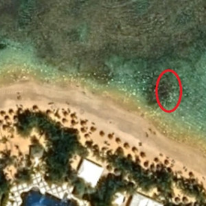 Spot Snorking