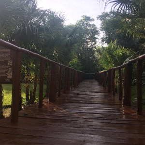 Passadiço directo a praia