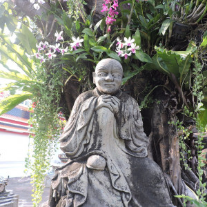 DSCN6530