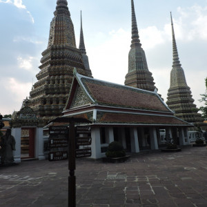 DSCN6536