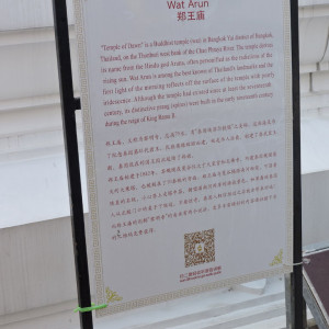 DSCN6593