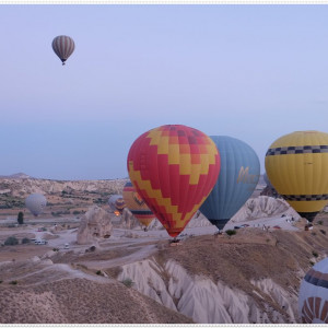 DSCF3336