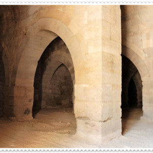 DSCF3661