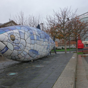 13 Belfast