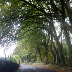 59 Caminho