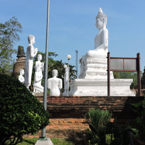 DSCN6905
