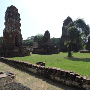 DSCN6950