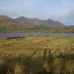 21 Connemara