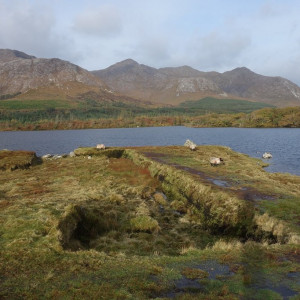 22 Connemara