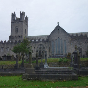 40 Limerick