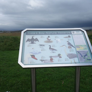 47 Tralee