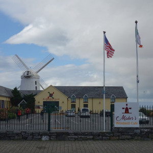 48 Tralee