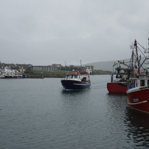 54 Dingle