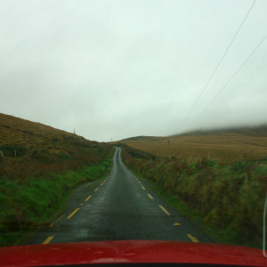 56 P. Dingle