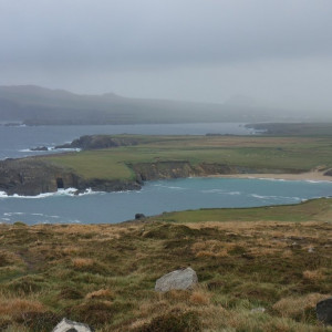 58 P. Dingle