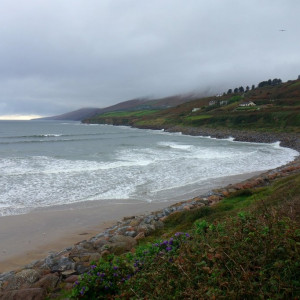 59 P. Dingle