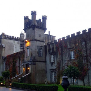 61 Tralee
