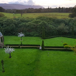 64 Tralee