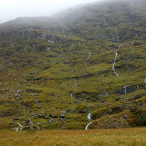 66 Bally Pass
