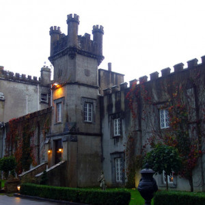 61 Tralee