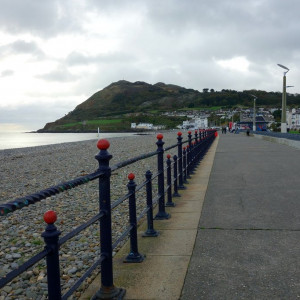 111 Bray-Grey