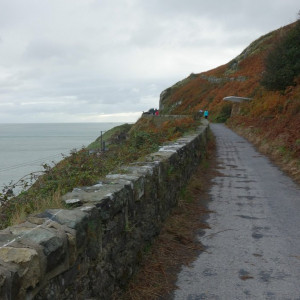 112 Bray-Grey