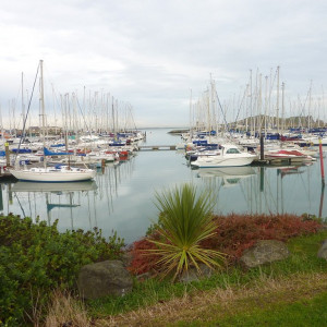 117 Howth