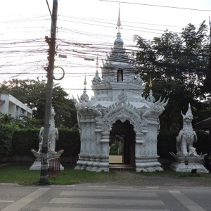 DSCN7389