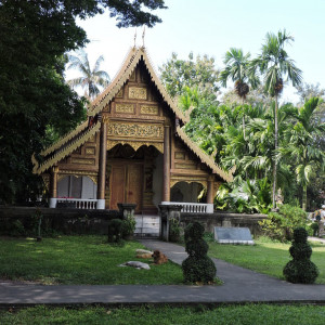 DSCN7593