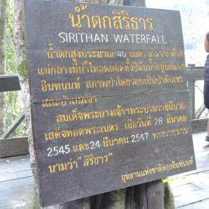 DSCN7774