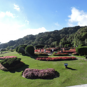 DSCN7972