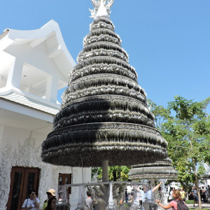 DSCN8112
