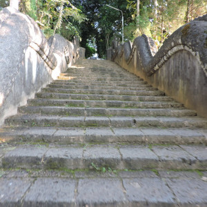 DSCN8291