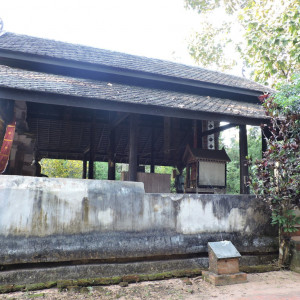 DSCN8300