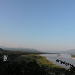 DSCN8310