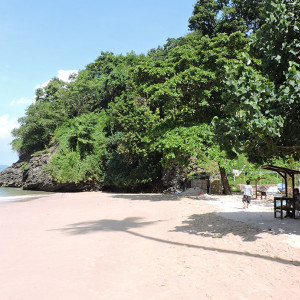 DSCN8416