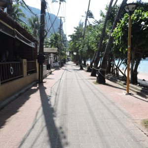 DSCN8380