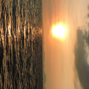 DSCN8510