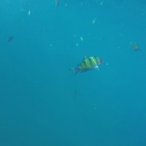 GOPR0158