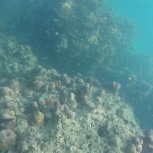 GOPR0158-2