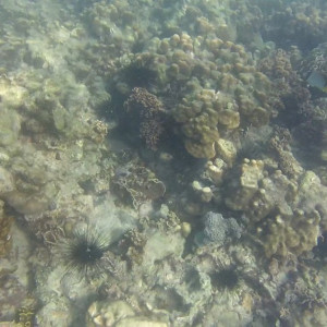 GOPR0158-5