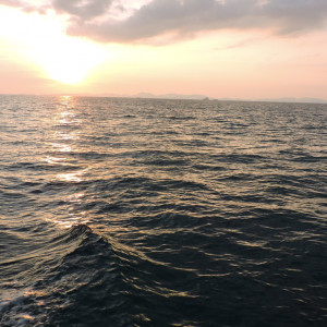 DSCN8508