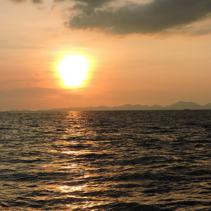 DSCN8510
