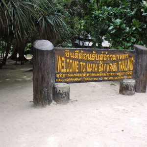 DSCN8677