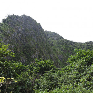 DSCN8711