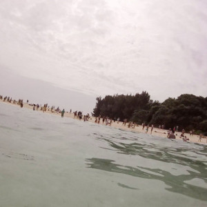 GOPR0262